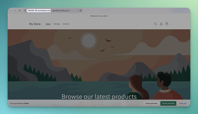 shopify-url-from-preview-screen