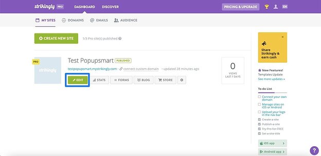 edit strikingly website