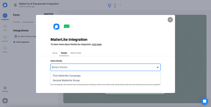 Popupsmart - MailerLite Details Section|autoxauto