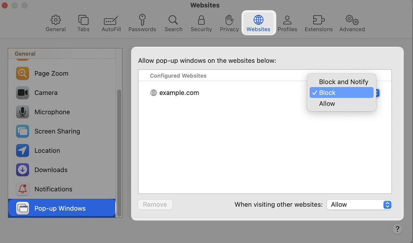 How to check if popups are blocked? - Popup Conversion Strategies ...
