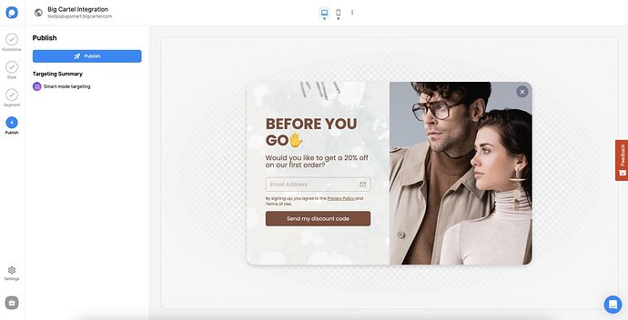 publish screen of a big cartel popup