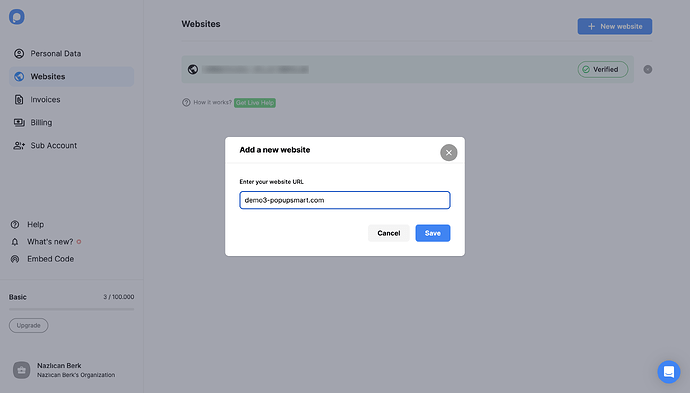 Adding WooCommerce Website
