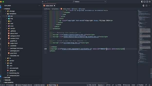 Embedded Code in Craft CMS Index HTML